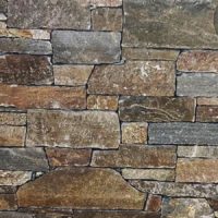 PAREMENT GNEISS AVEC ANGLE