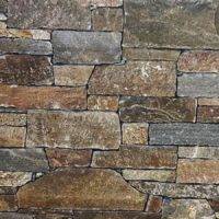 PAREMENT GNEISS AVEC ANGLE
