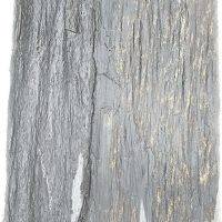 PALIS DE SCHISTE