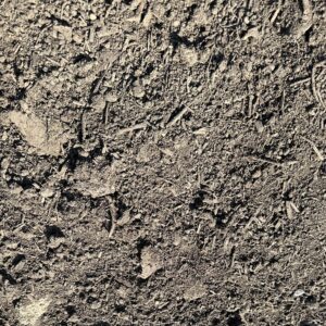 Terreau
